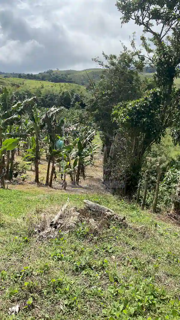 Finca La Esperanza